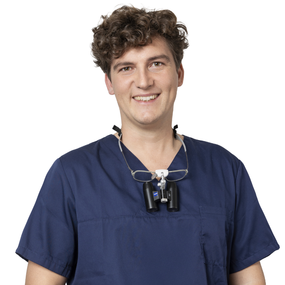 Tim Schneider Freisteller web